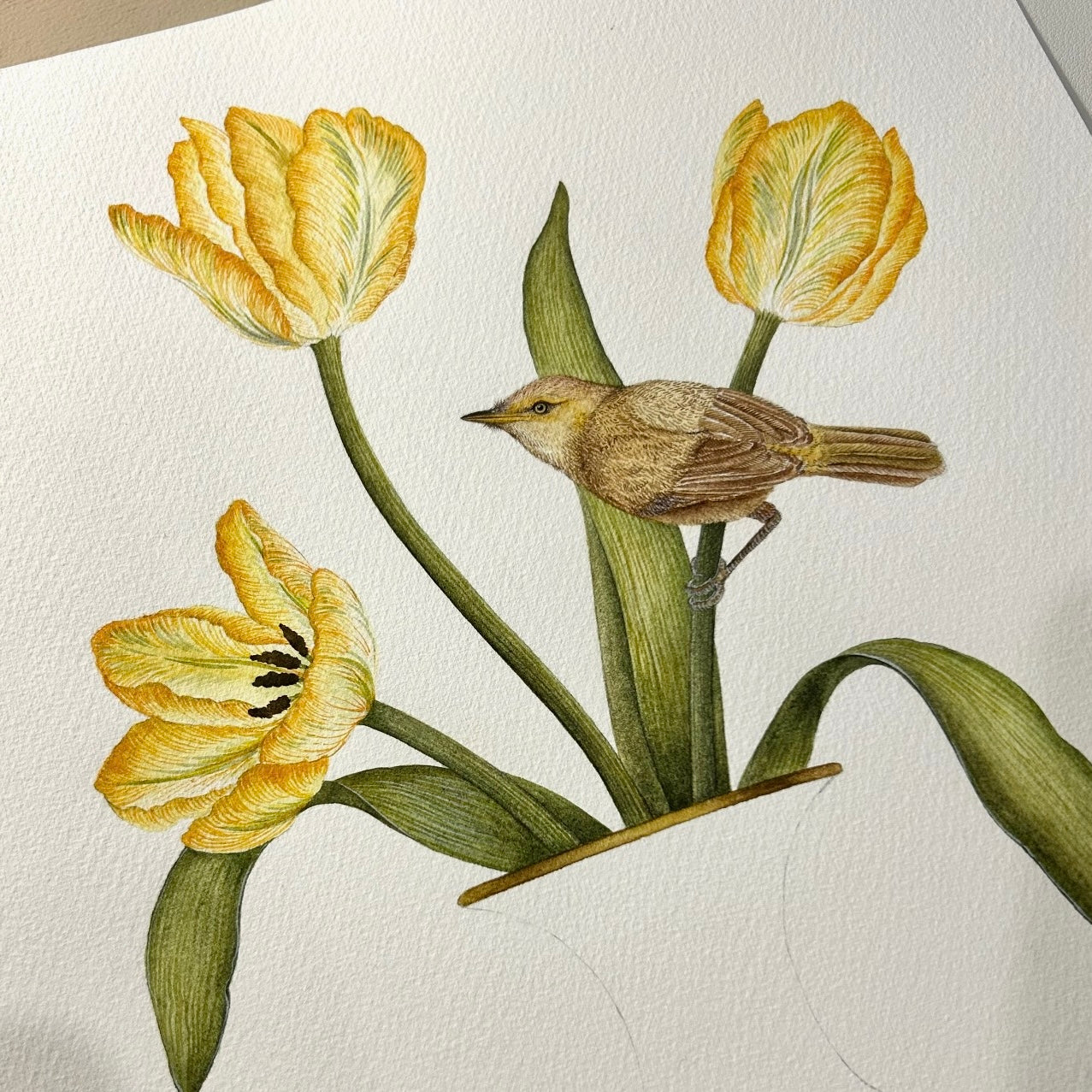 *Pre-purchase* Japanese Iris Vases with Tulips and a Pair of Common Reed Warblers - Two Unframed Original Paintings
