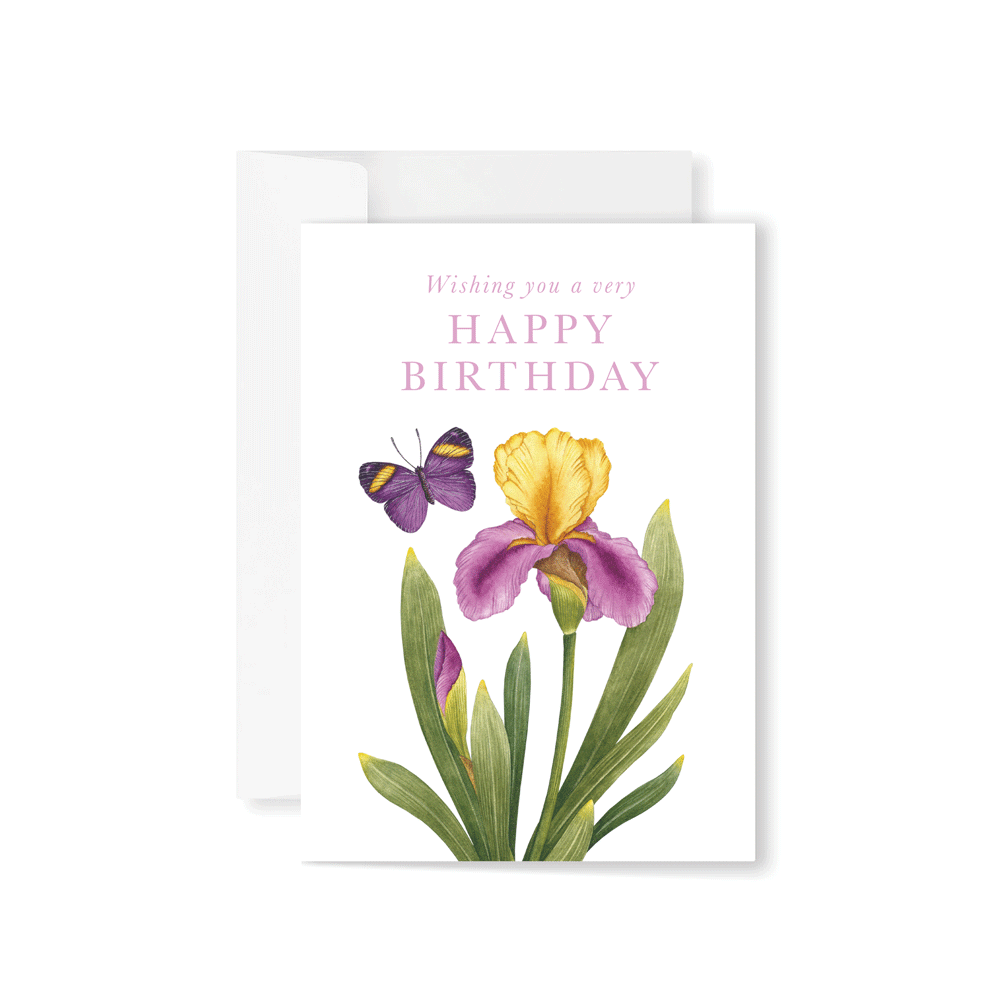 Iris 'Peggy Sue' with Butterfly Greeting card