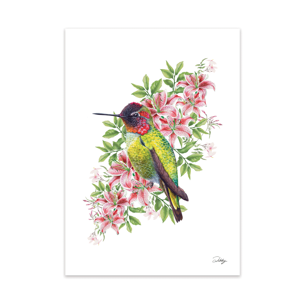 Hummingbird with Lilies Print