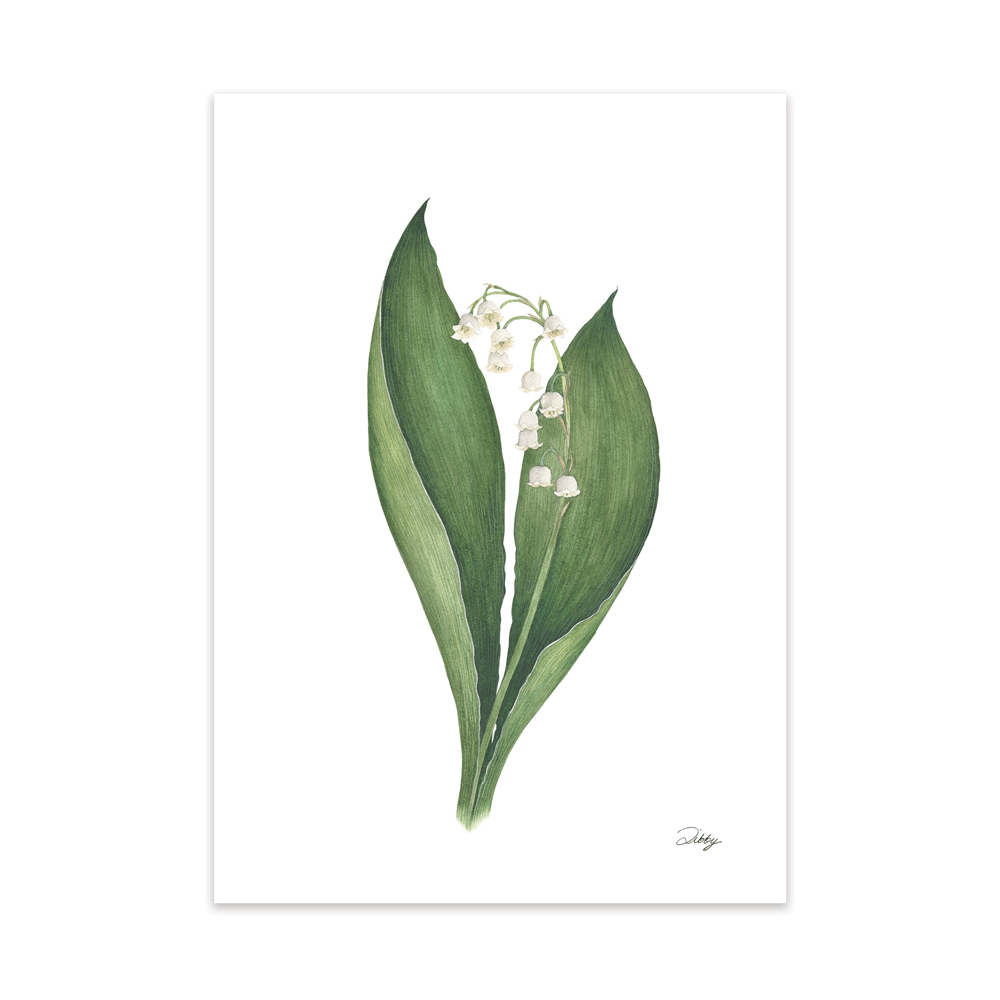 "Bridal Choice" Lily of the Valley Print