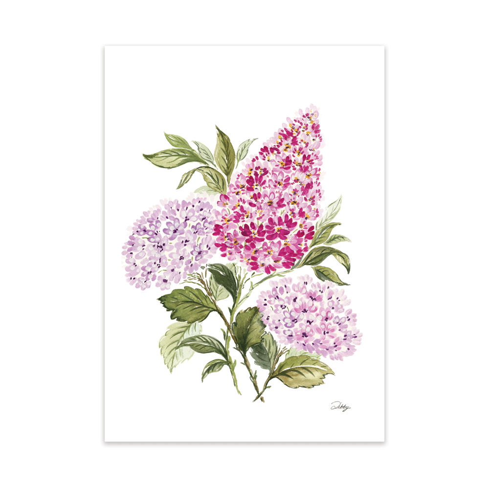 Pink Lilac with Hydrangeas Print