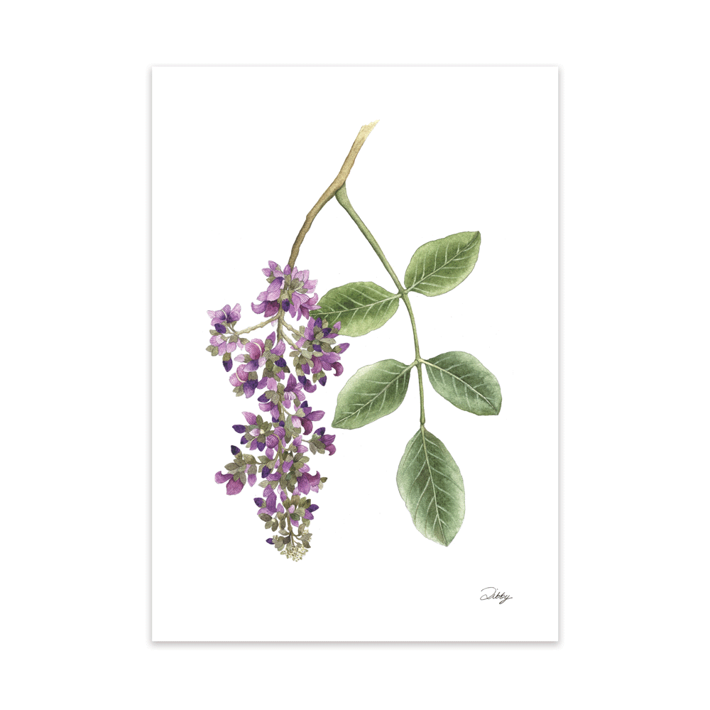 Apple-Leaf Capassa Print