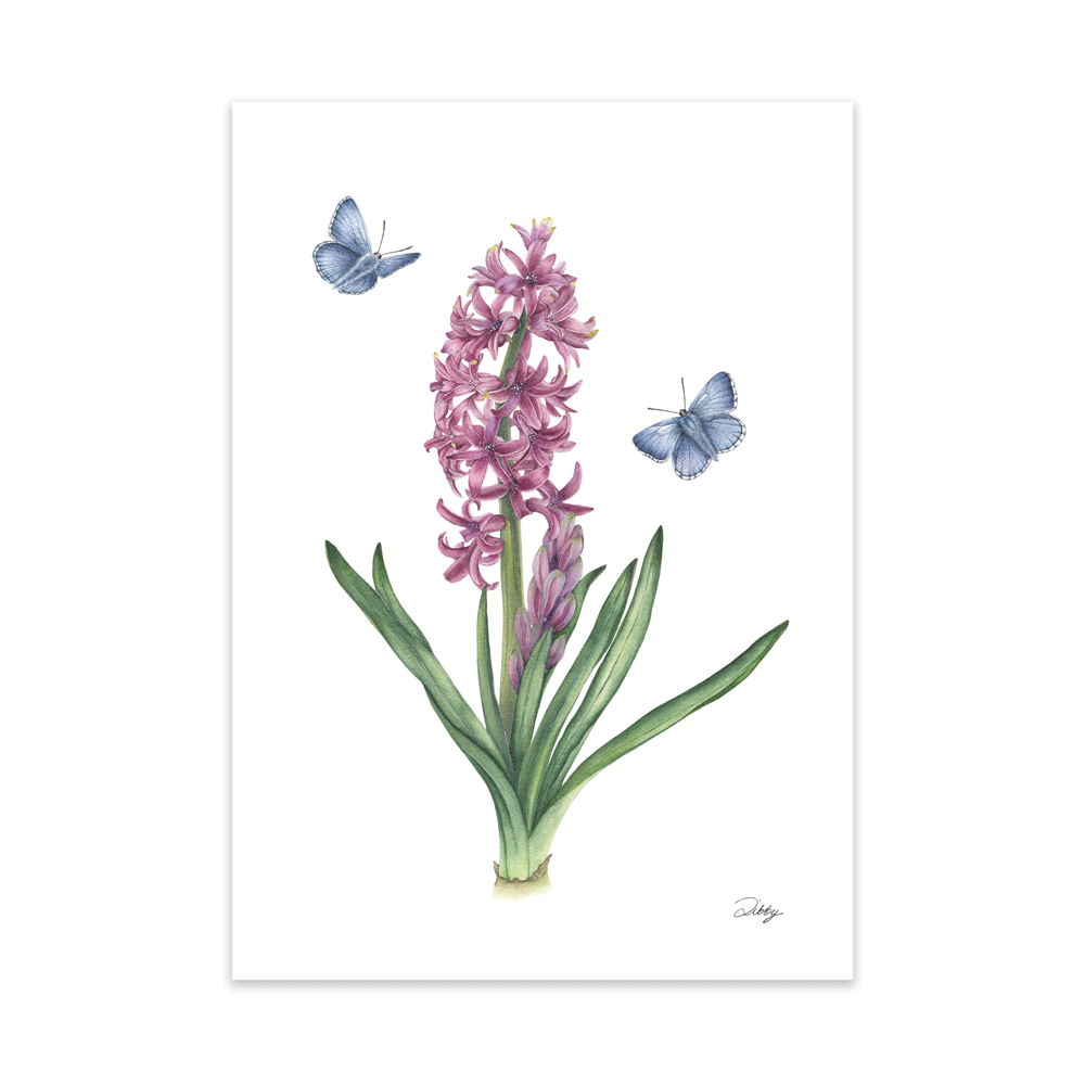 Hyacinth "Miss Saigon" Print