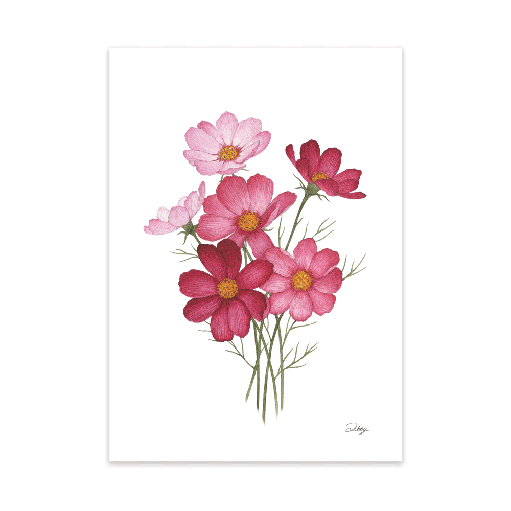 Garden Cosmos Print