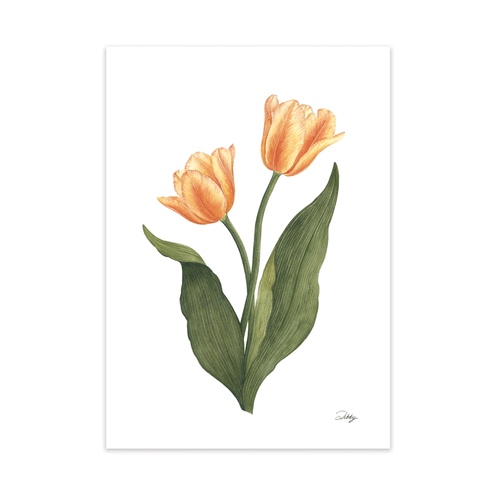 “Peach Blossom” Tulip Print