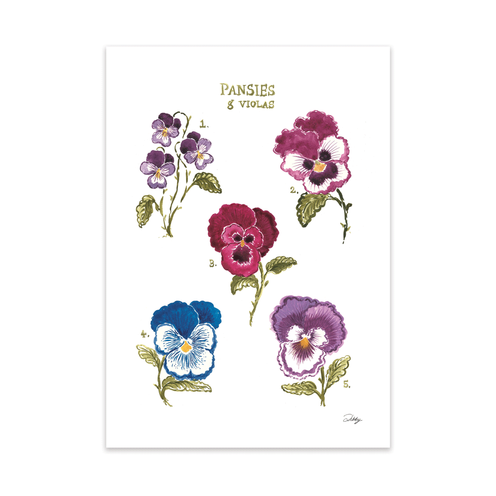 Pansies & Violas Print