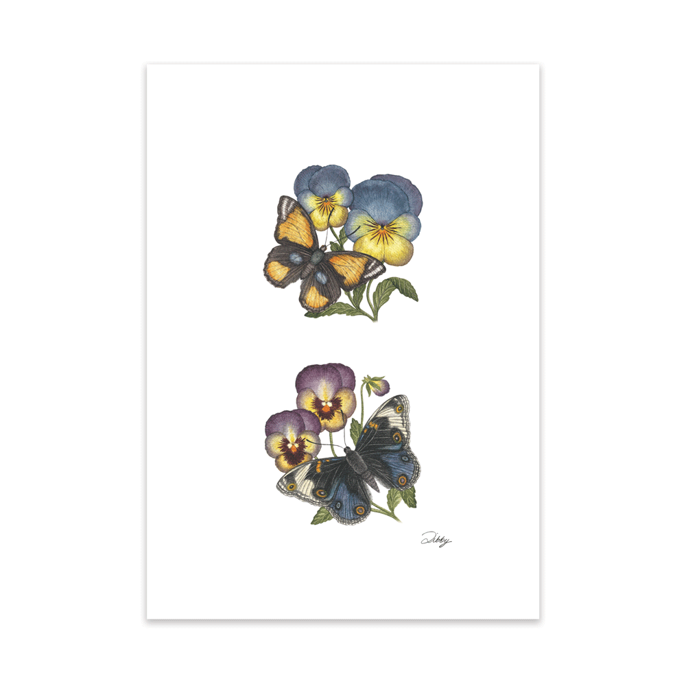 Pansies with Pansy Butterflies Print