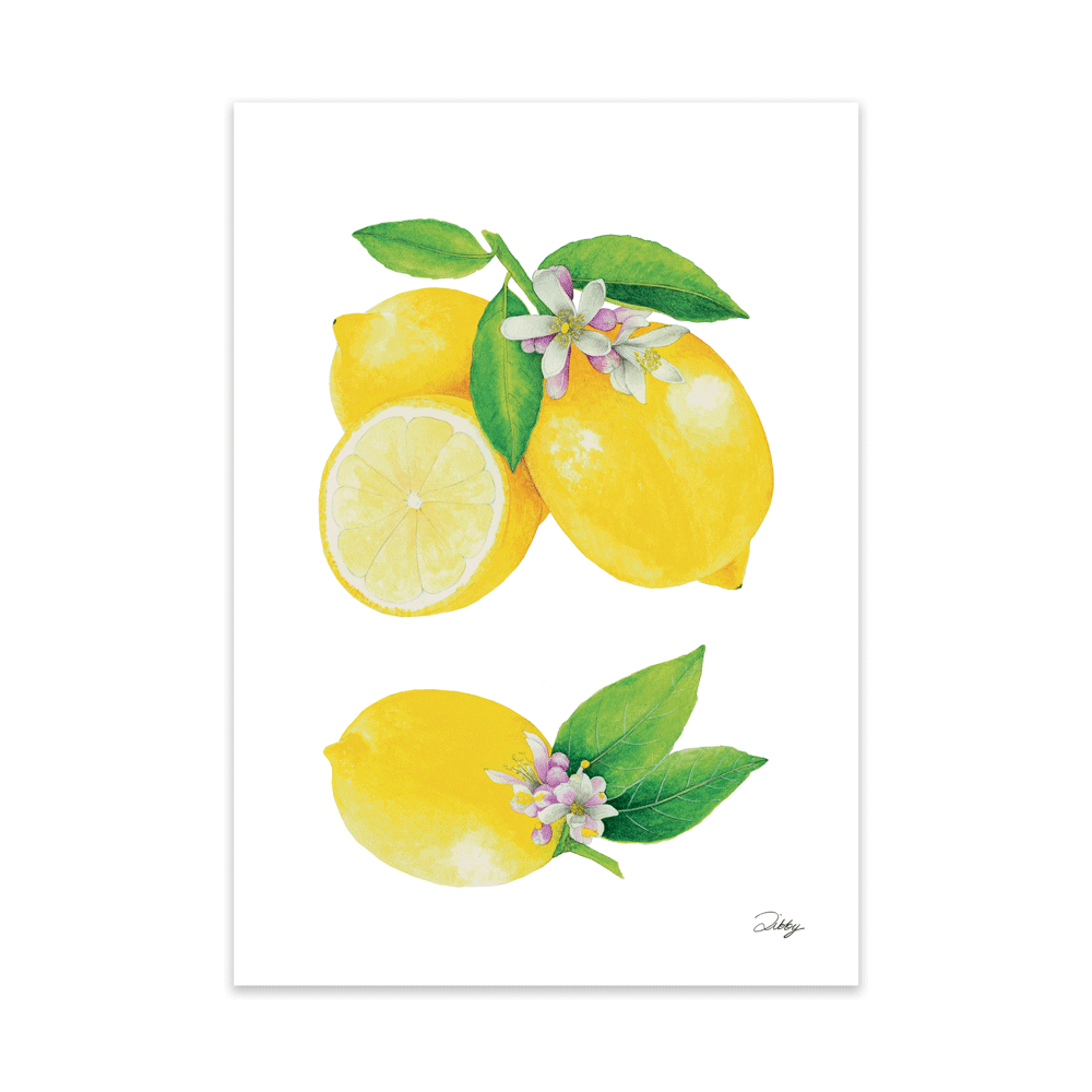 Lemons Botanical Study Print