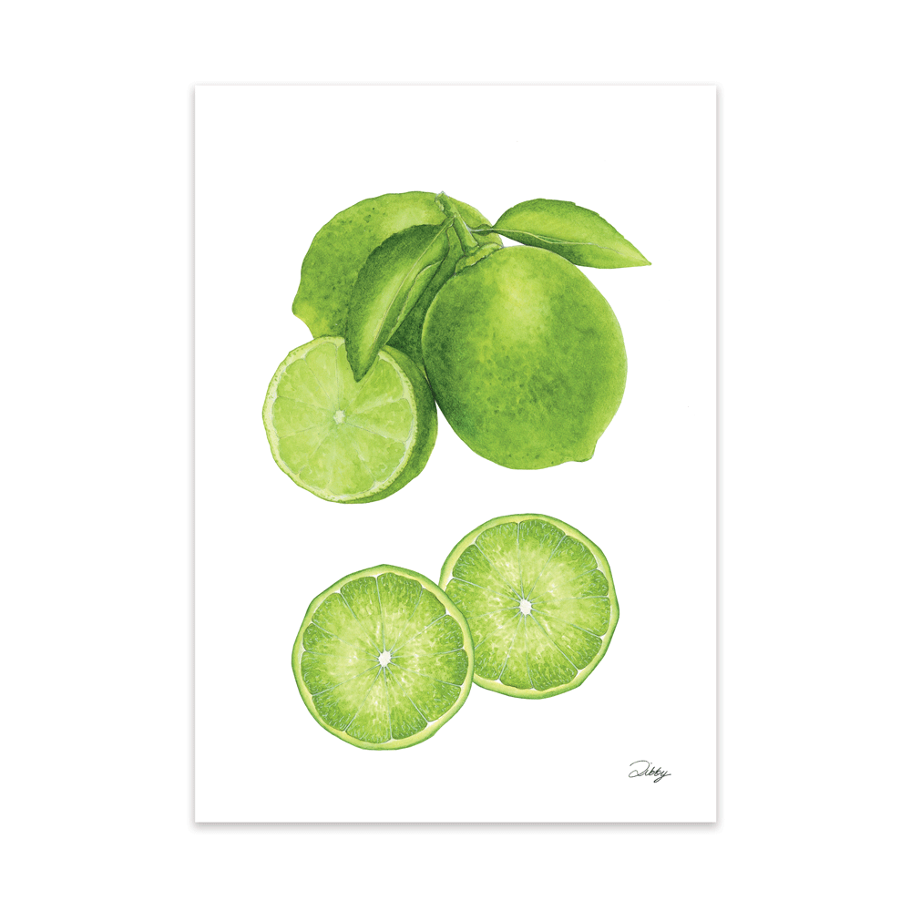 Limes Botanical Study Print