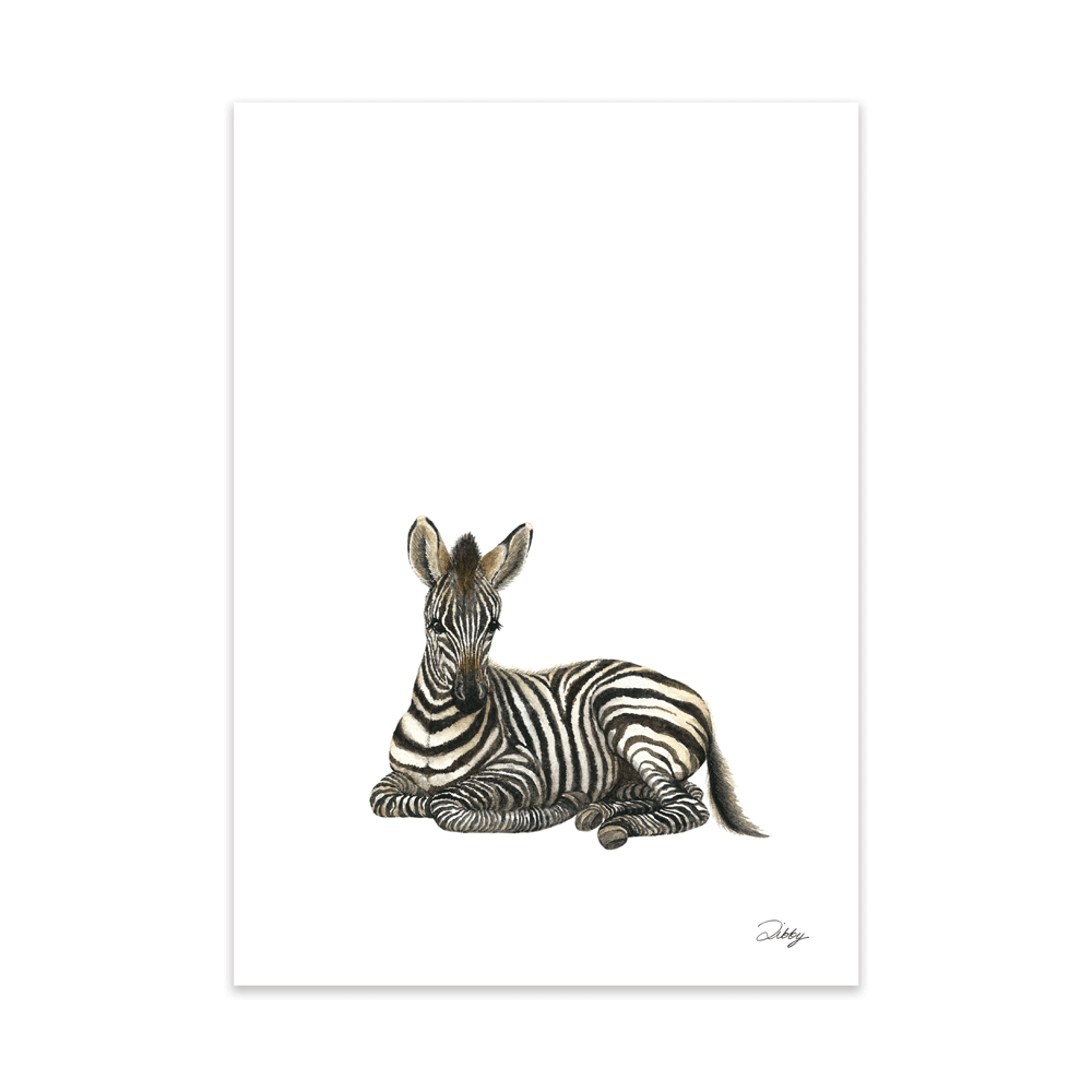 Safari Baby Zebra Print