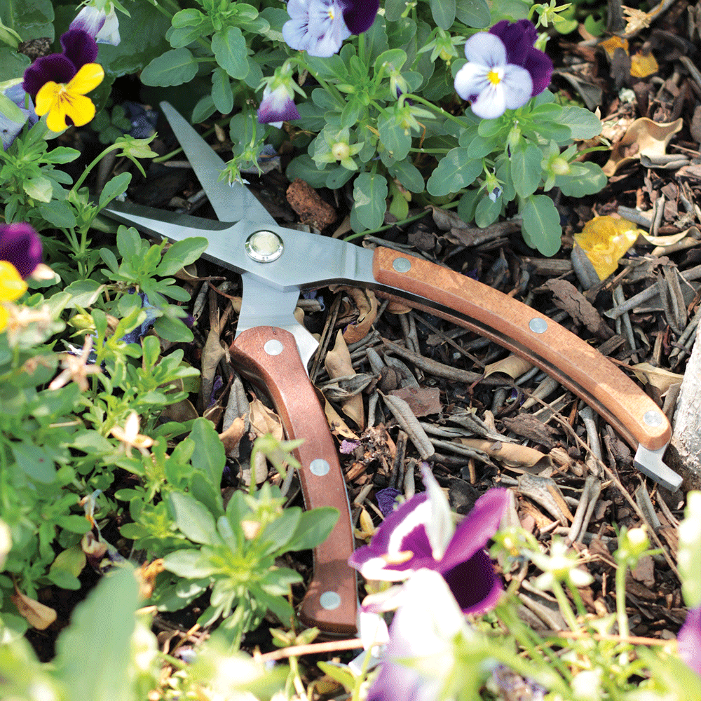 Pruning Secateurs