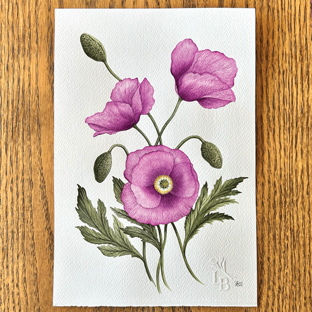 'Imperial Pink' Poppies - Unframed Original Painting