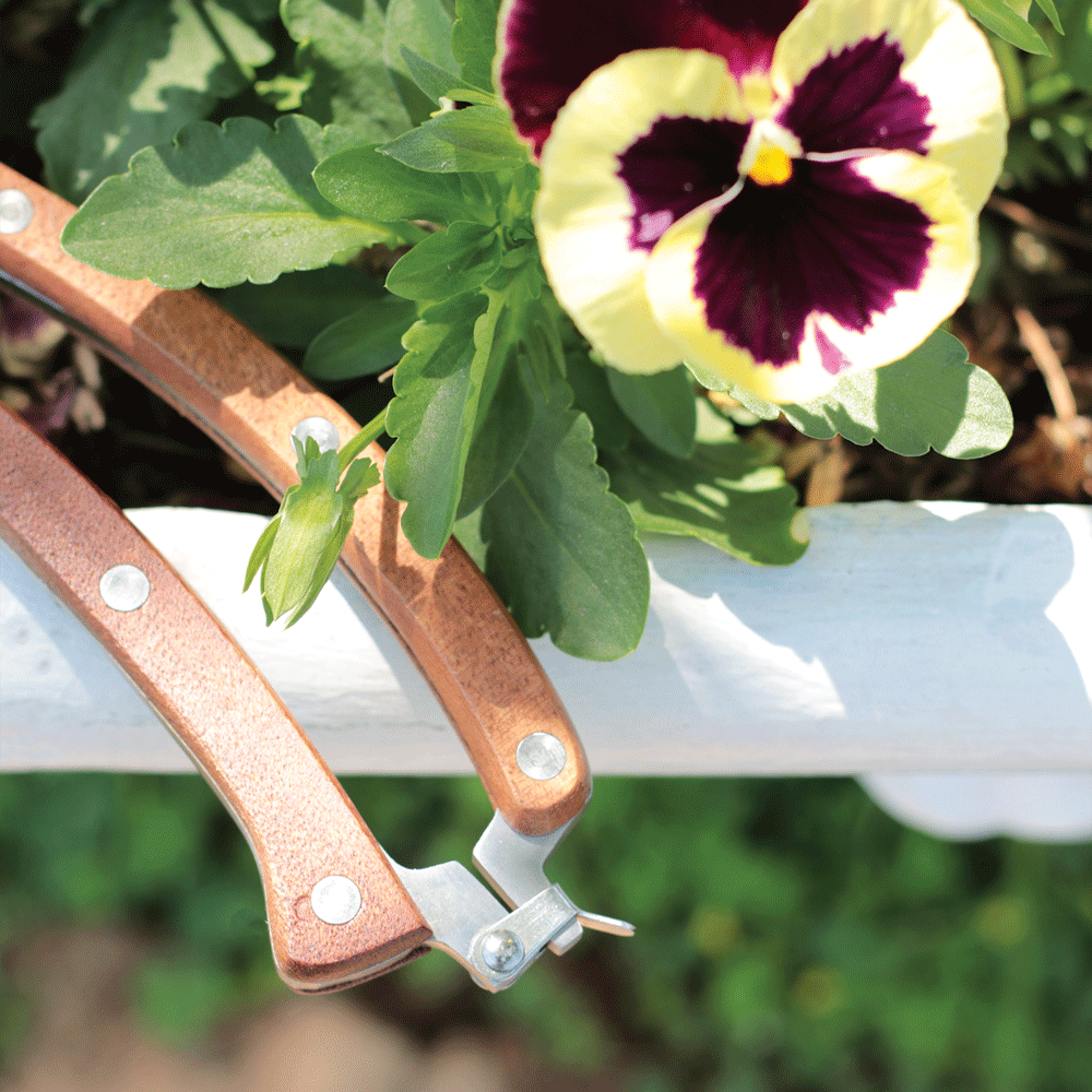 Pruning Secateurs