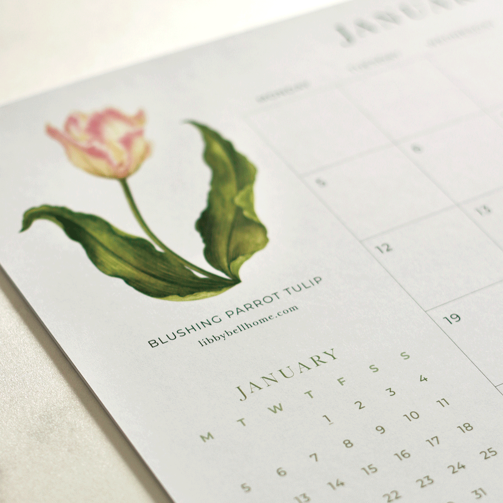 2026 A4 Deskpad Calendar (Medium)