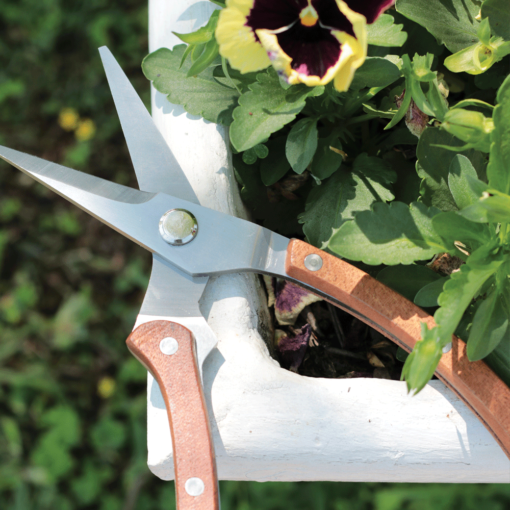 Pruning Secateurs