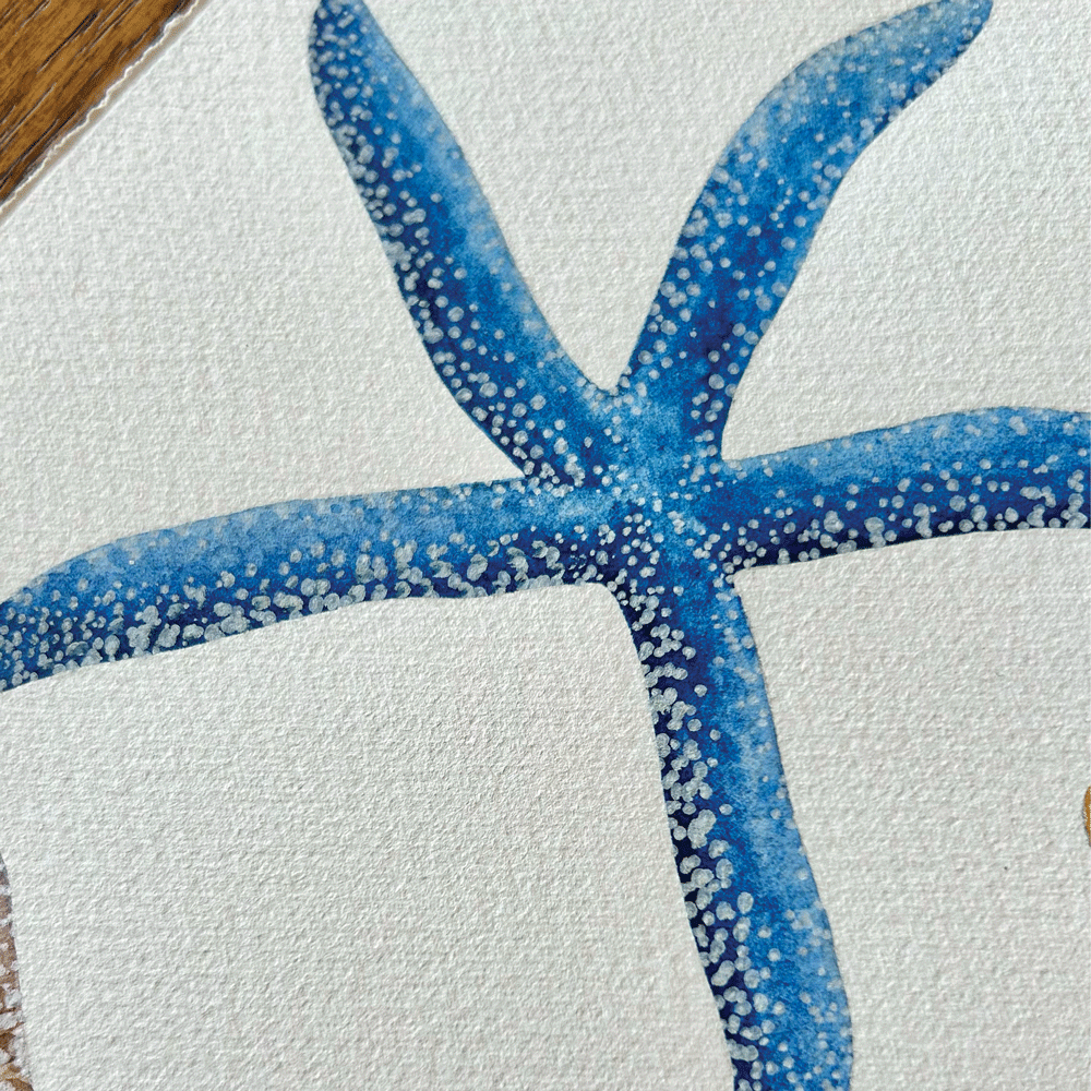 Starfish of the South African Coastline - Unframed Original Painting