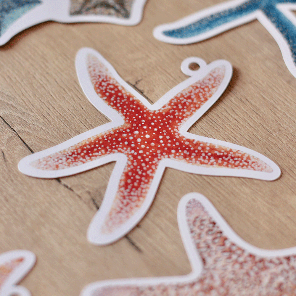 Sea Stars Gift Tags (set of 8)