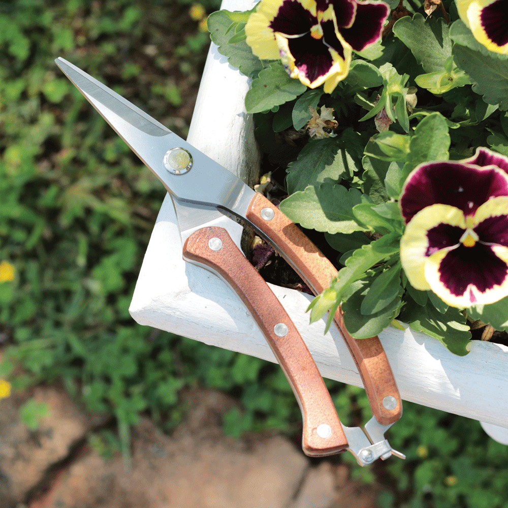 Pruning Secateurs