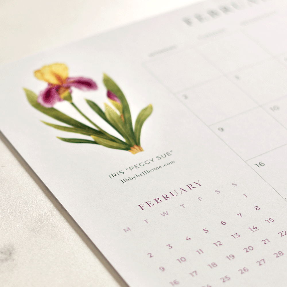2026 A4 Deskpad Calendar (Medium)
