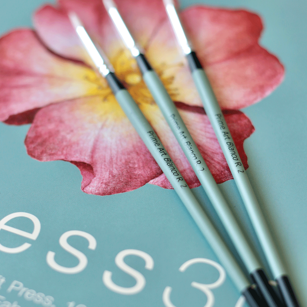 BRUSHES PrimeArt Bianco Round (6 sizes)