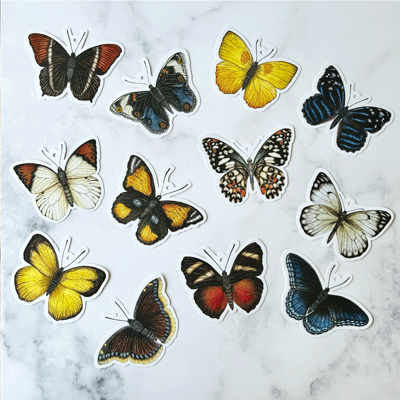 Butterfly Gift Tags (set of 12)