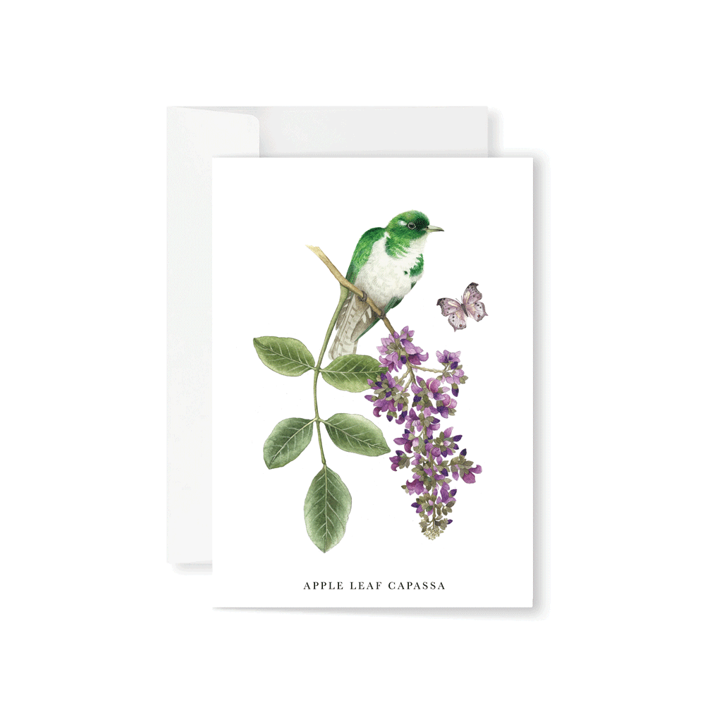 Apple Leaf Capassa Greeting Card