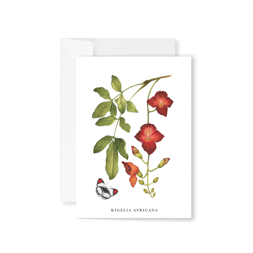 Kigelia Africana Greeting Card