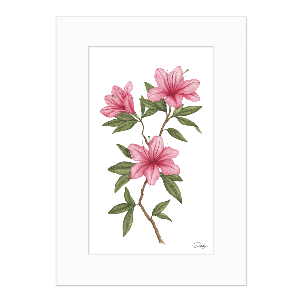 La Motte Azaleas Print