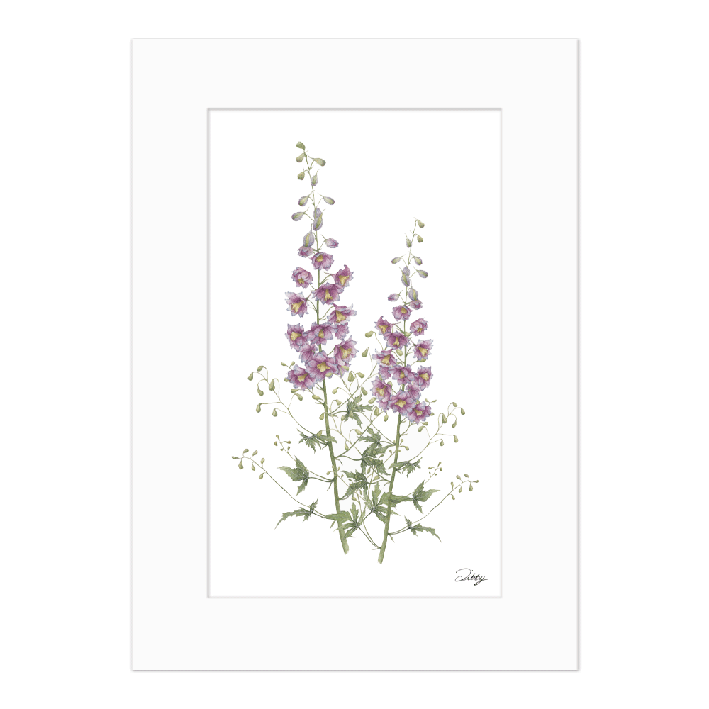July - Larkspur Print