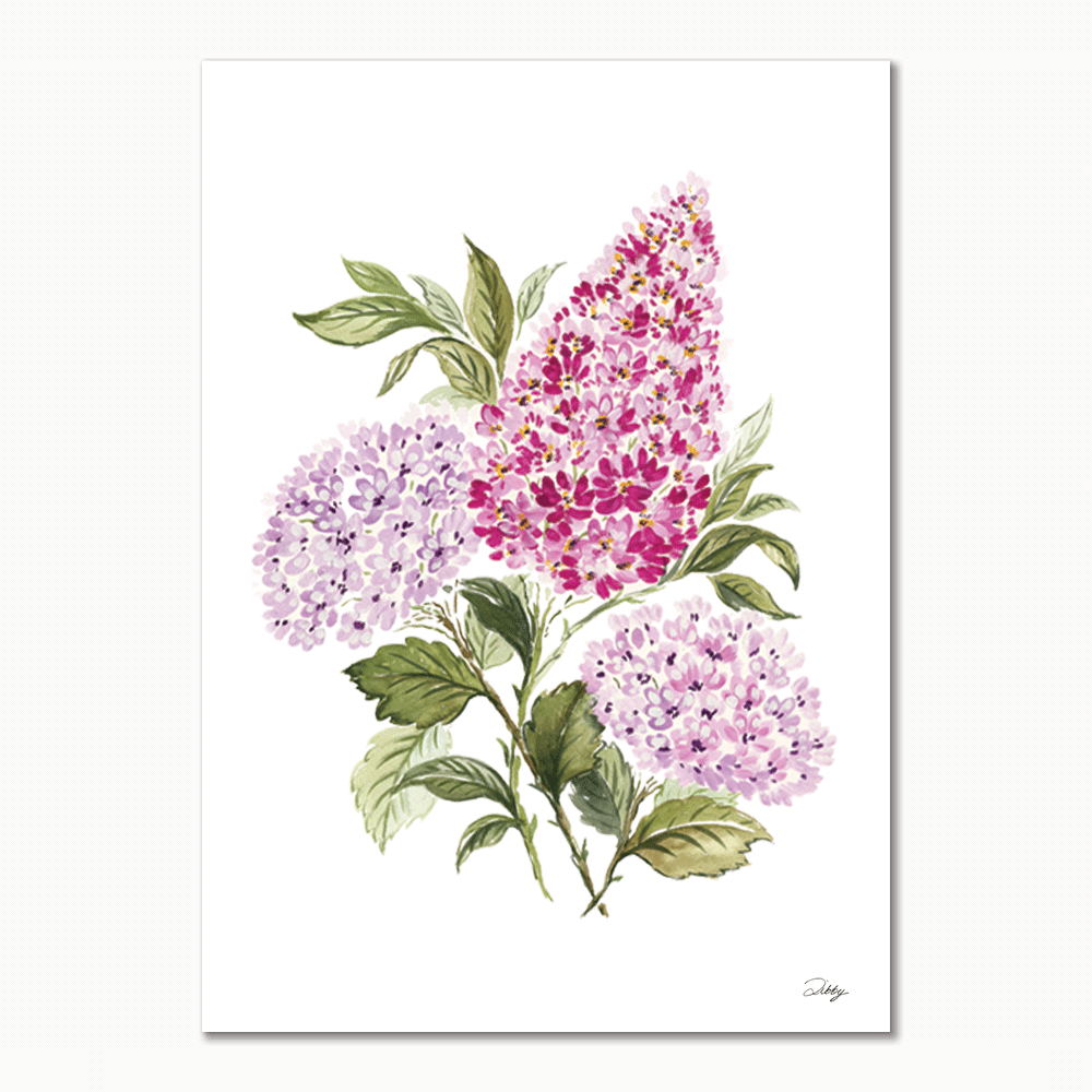 Lilacs & Hydrangeas Print Pair