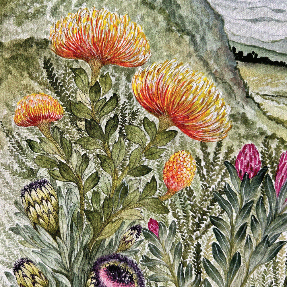 Protea Valley - Unframed Original Painting