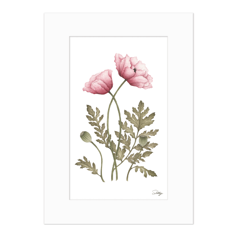 August - Poppies Print