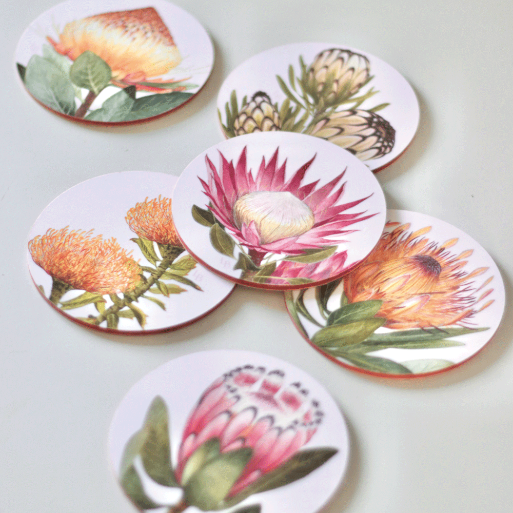 Proteas of RSA Coaster Set