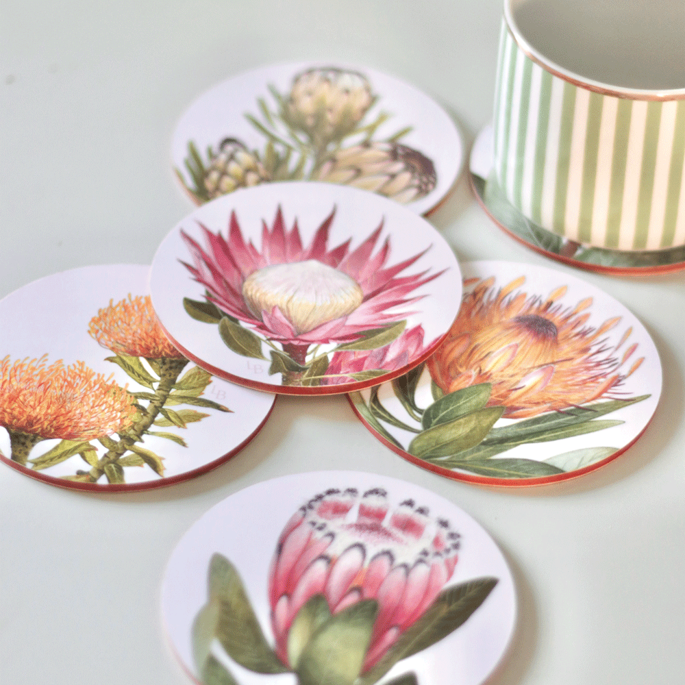 Proteas of RSA Coaster Set