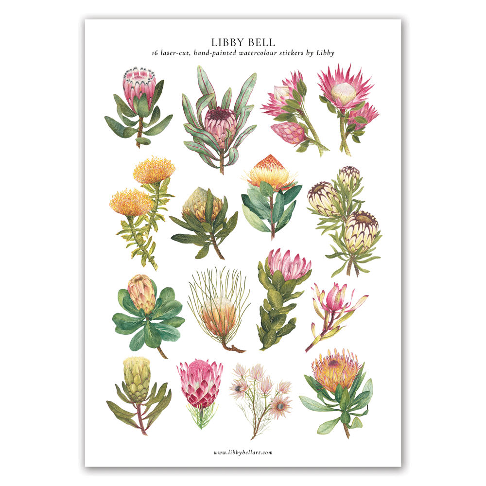 Protea Sticker Sheet