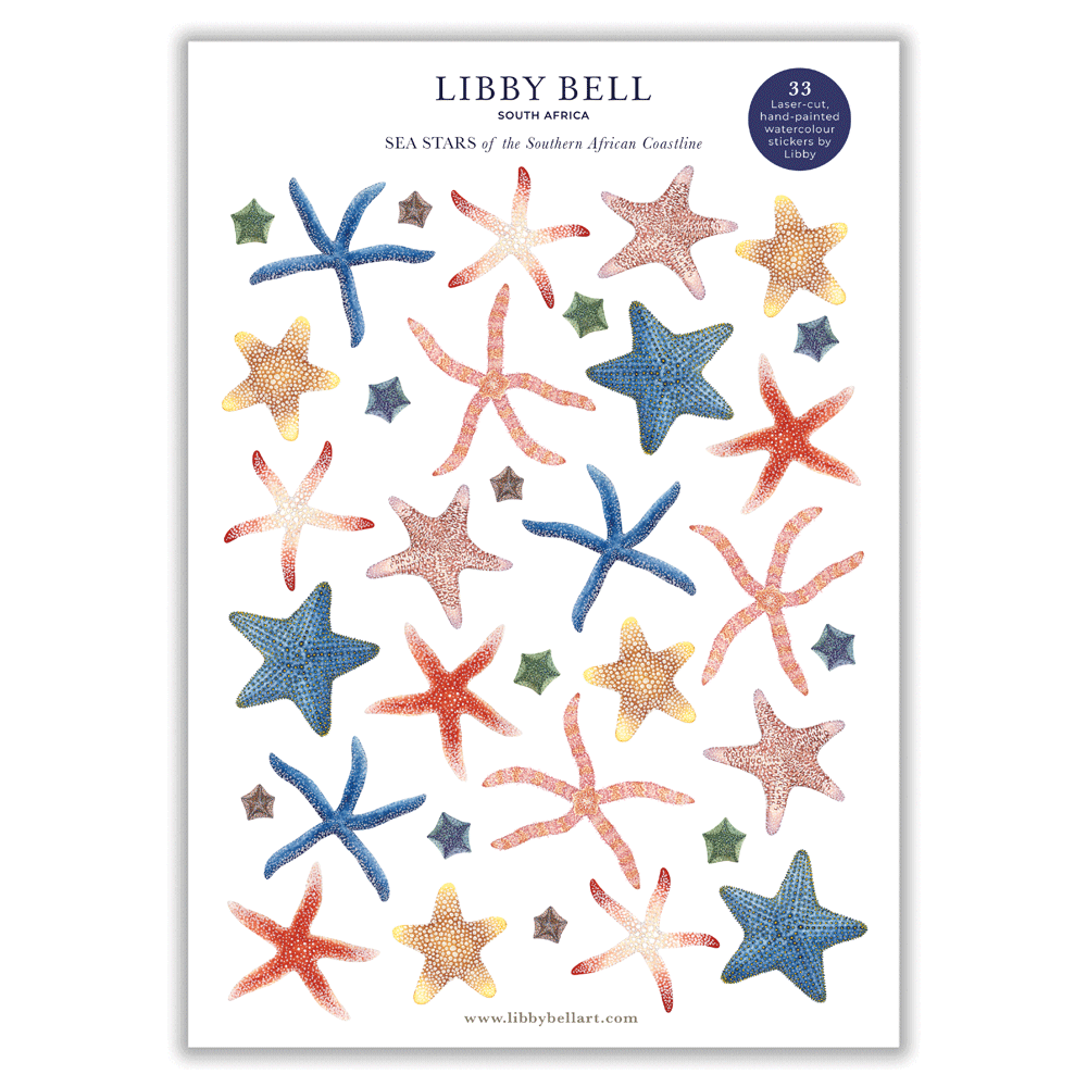 Sea Stars/Starfish Sticker Sheet