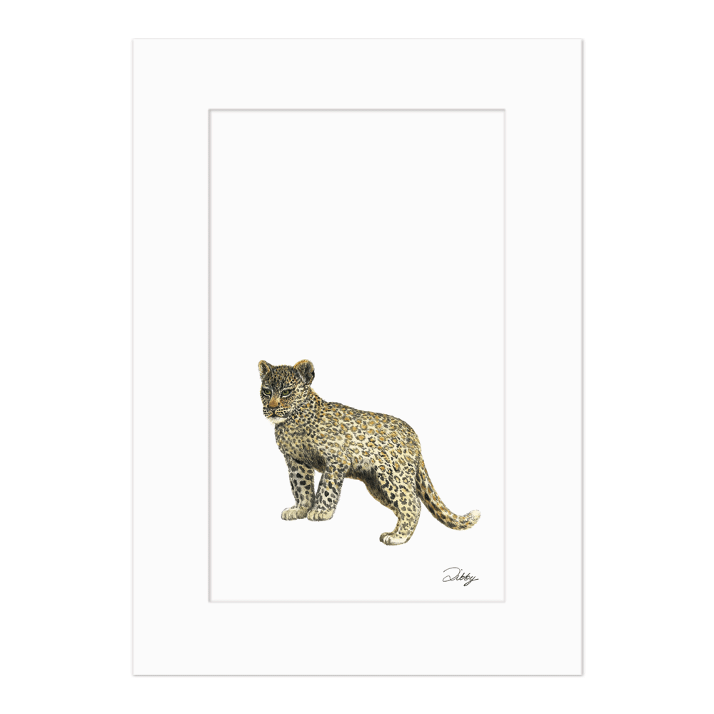 Baby Leopard