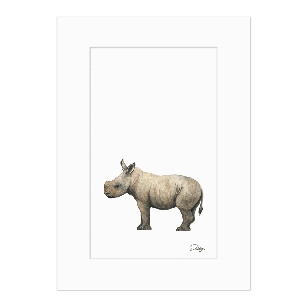 Baby Rhino