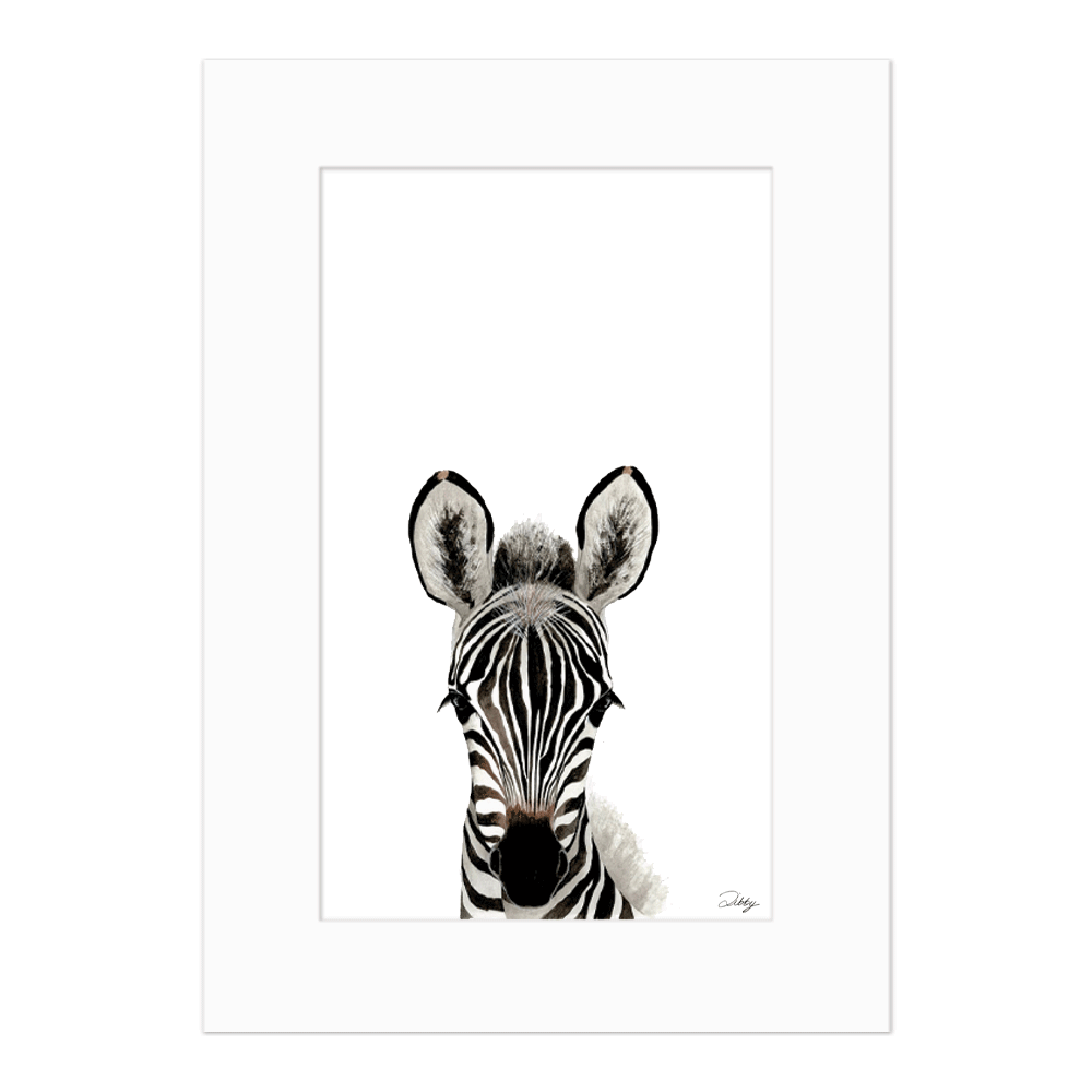 Baby Zebra - Portrait