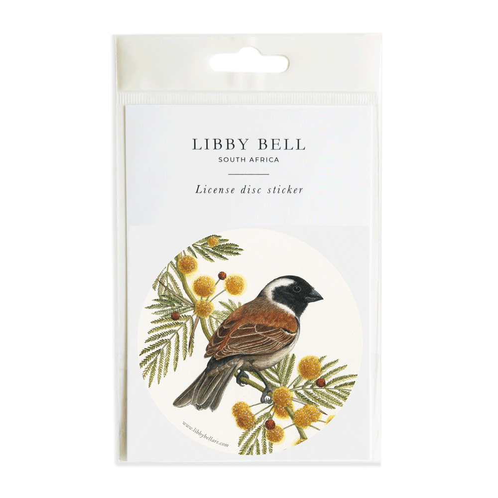 Cape Sparrow License Disc sticker