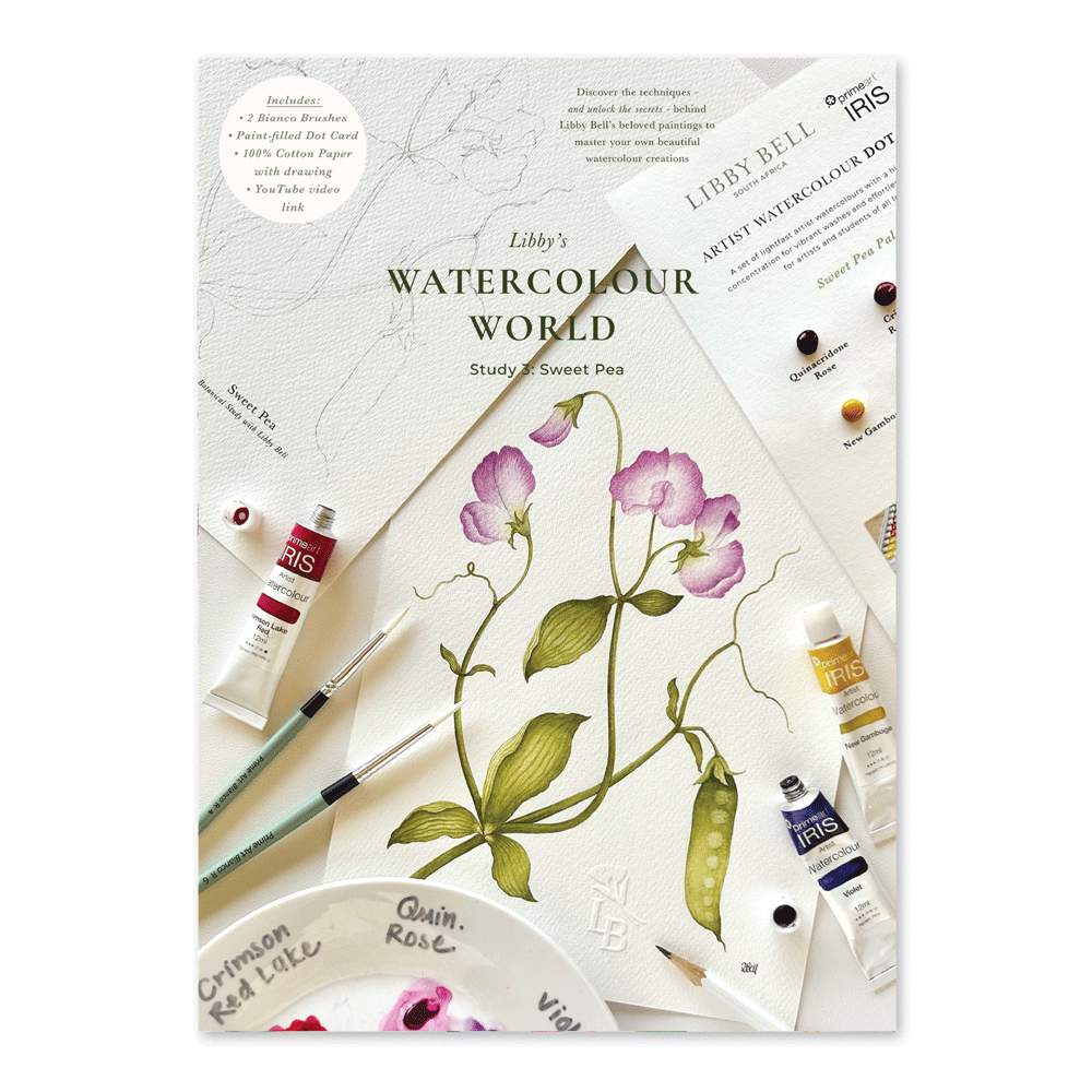 Watercolour Workshop Bundle - Set of 3 Studies