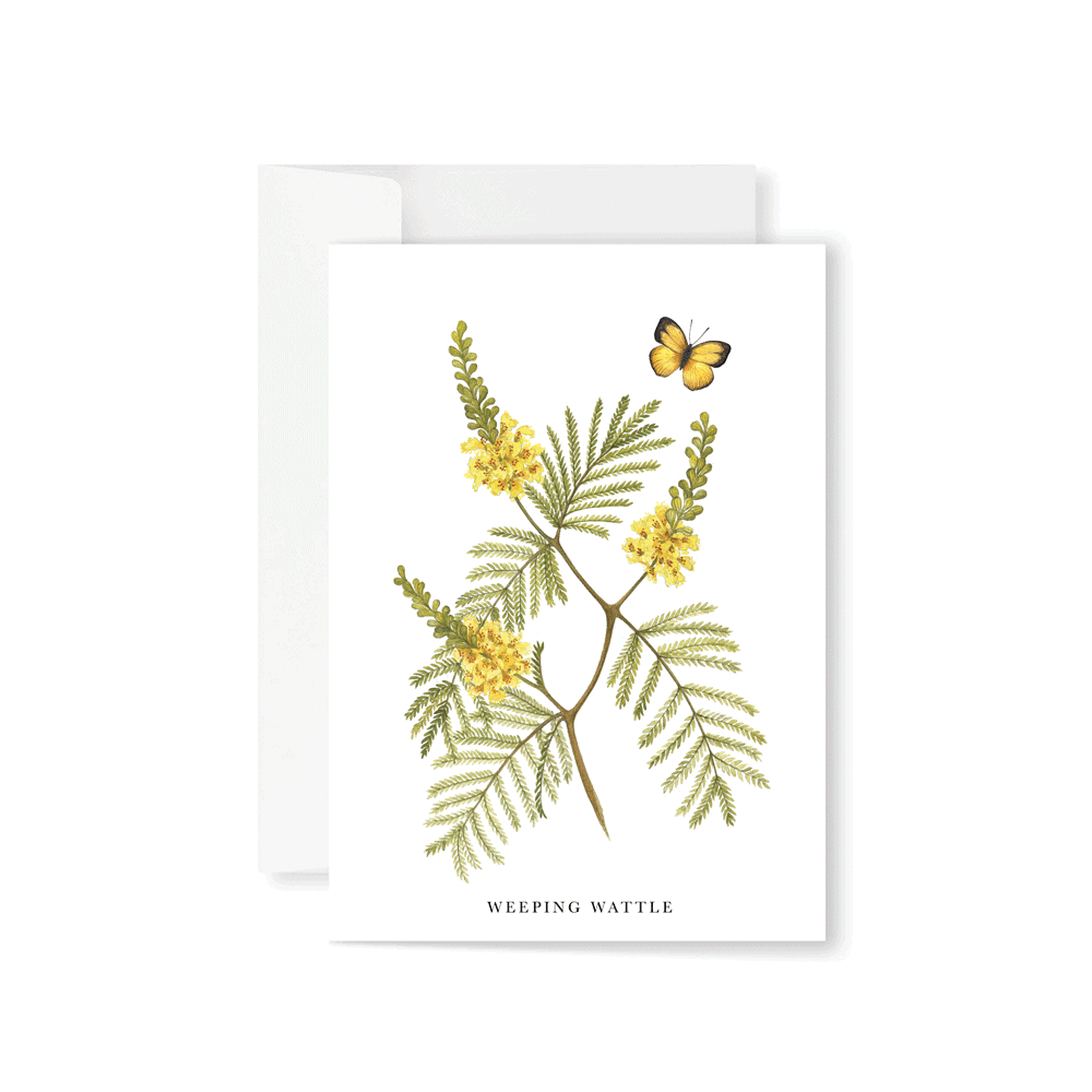 Weeping Wattle Greeting Card