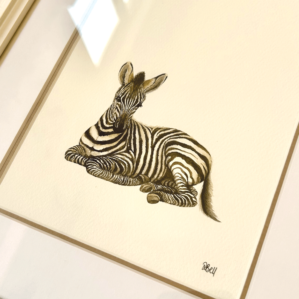 Safari Baby Zebra - Framed Original Painting
