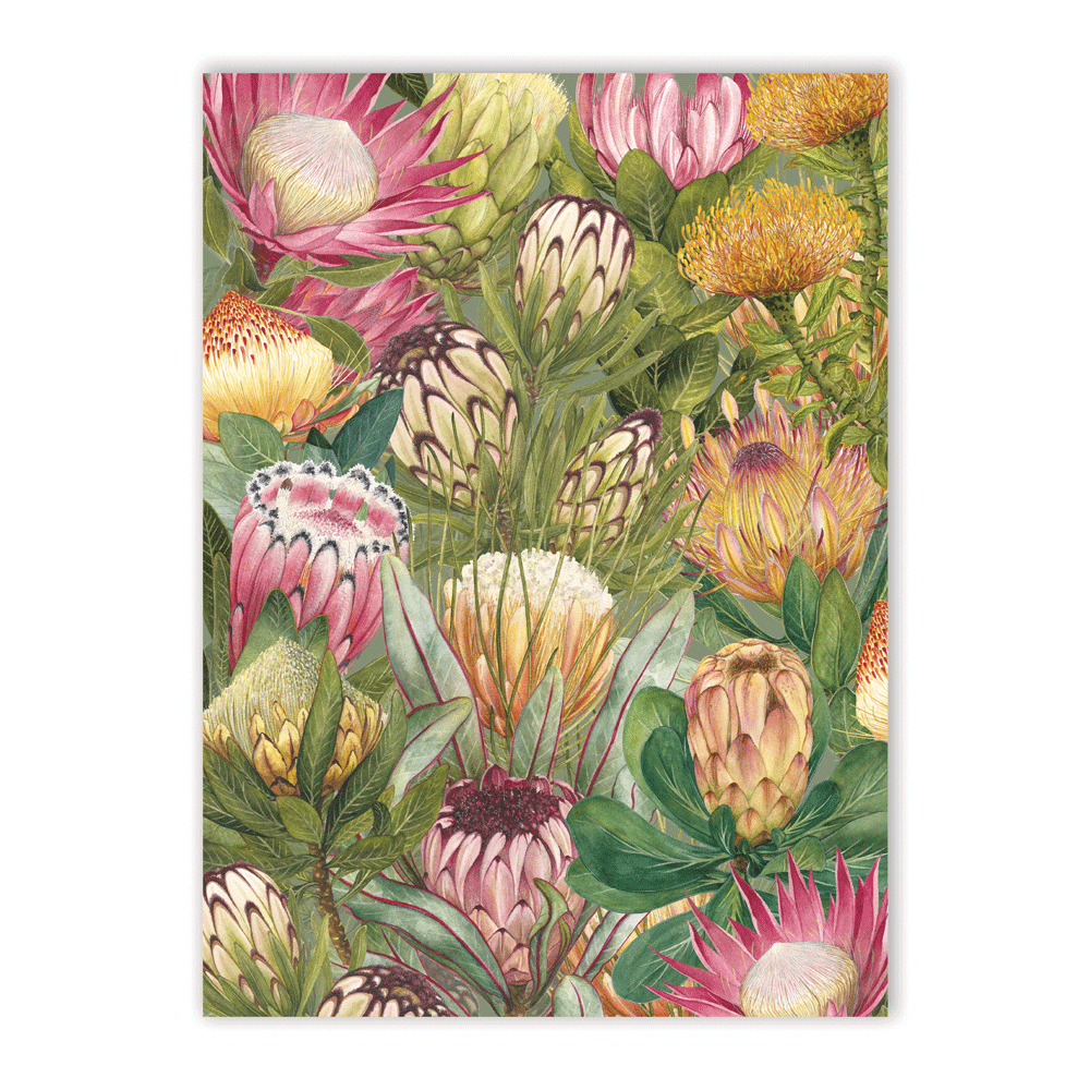 Proteas of RSA Luxe Blanket