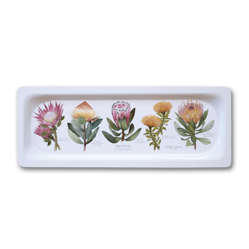 Proteas of RSA Sandwich Tray