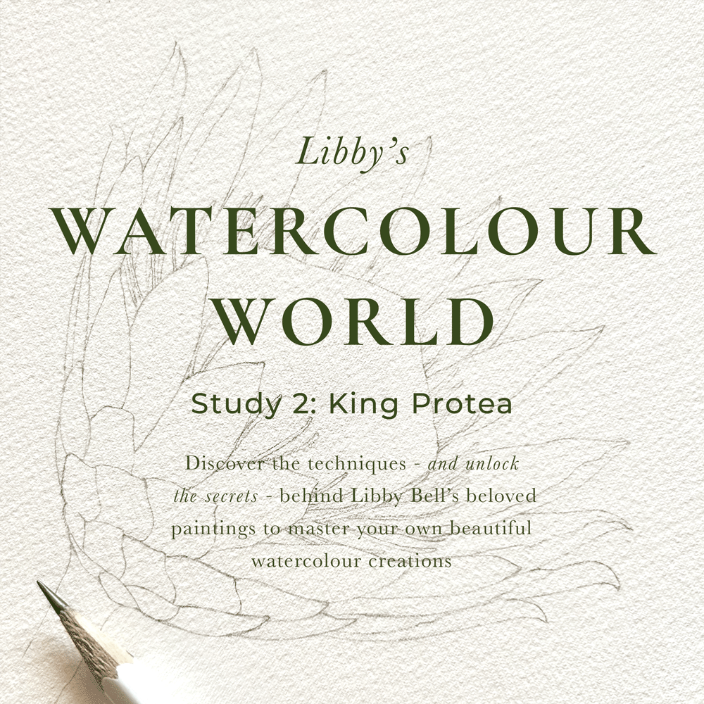 King Protea Watercolour Workshop Pack
