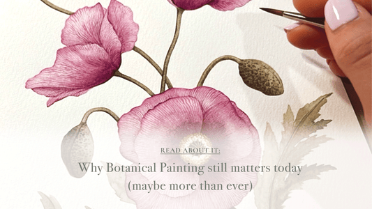 Why Botanical Painting still matters today