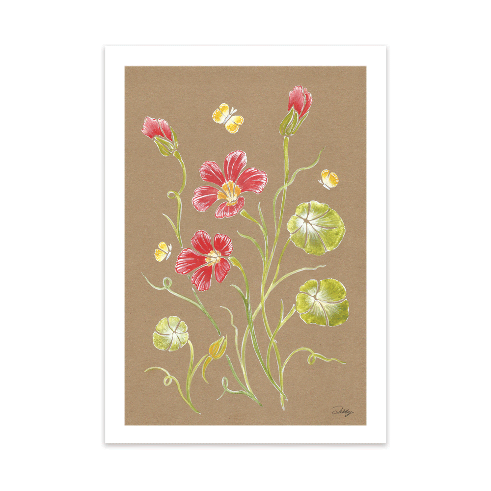 Nasturtiums on brown Print