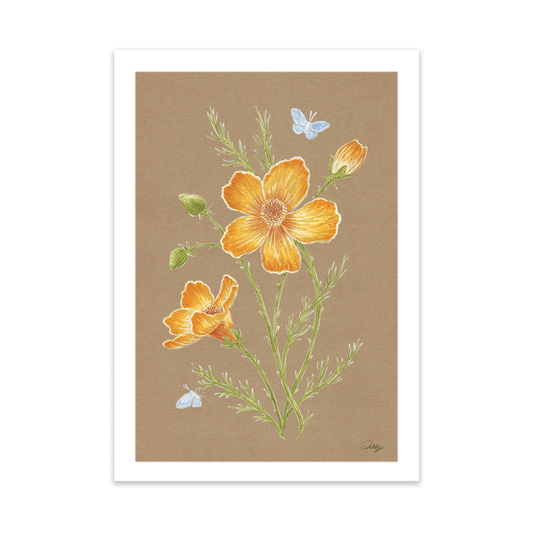 Yellow Poppies on brown Print