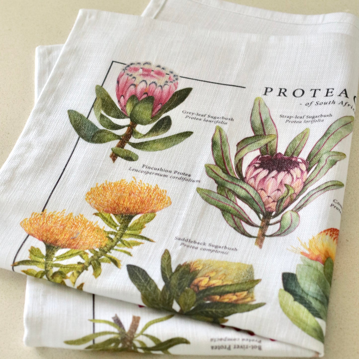 Proteaceae 100% Cotton Tea Towel